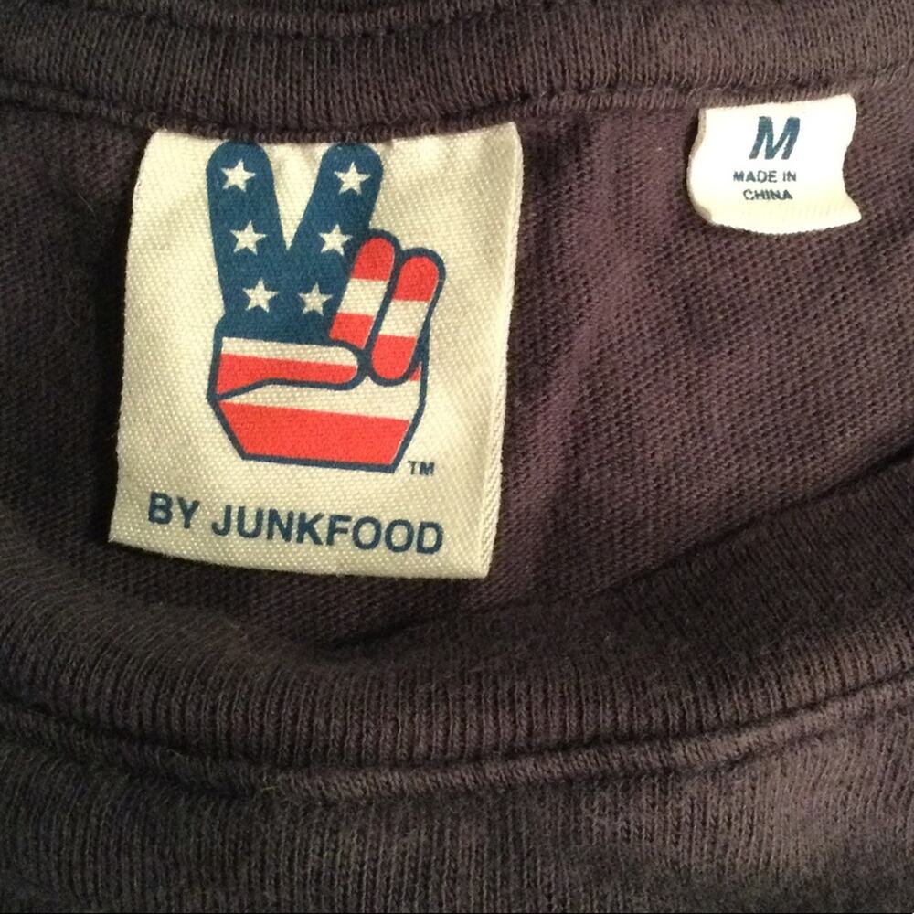 Junk Food Clothing Pink Floyd gray long sleeve T-Shirt M - Picture 4 of 4